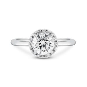 Classic Halo Engagement Ring (14kt White)