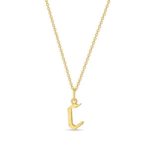 Customizable Initial Necklace (14kt Gold)